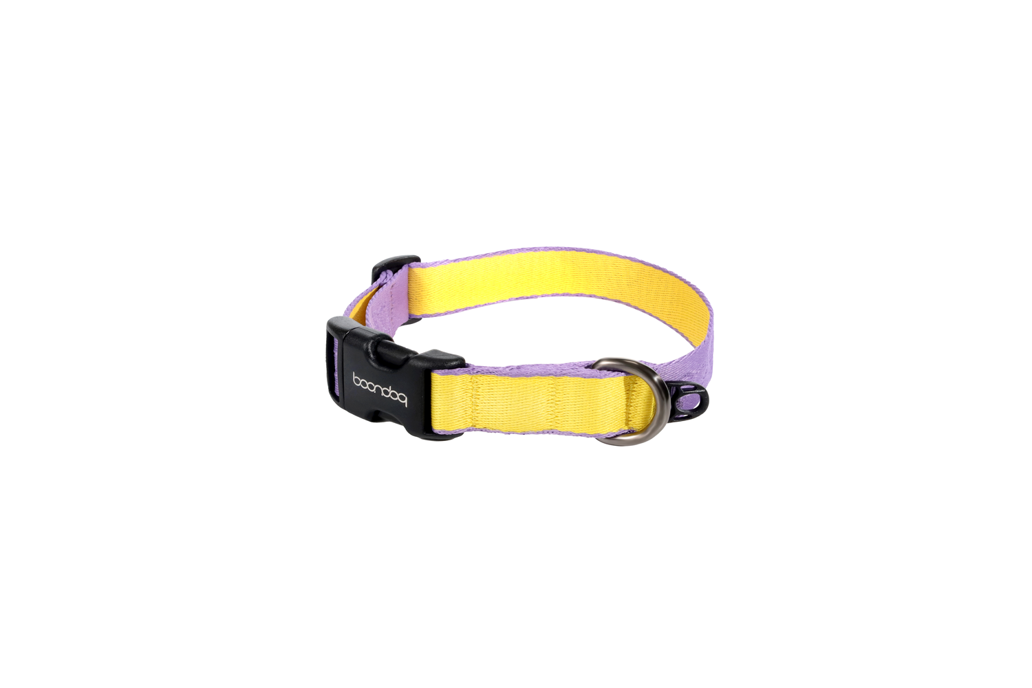 Original Collar Purple/Lemon